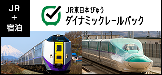 JR東日本びゅうダイナミックレールパック