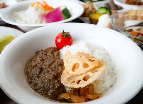 蝦夷鹿カレー